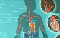 高盐生活导致胃炎的发生